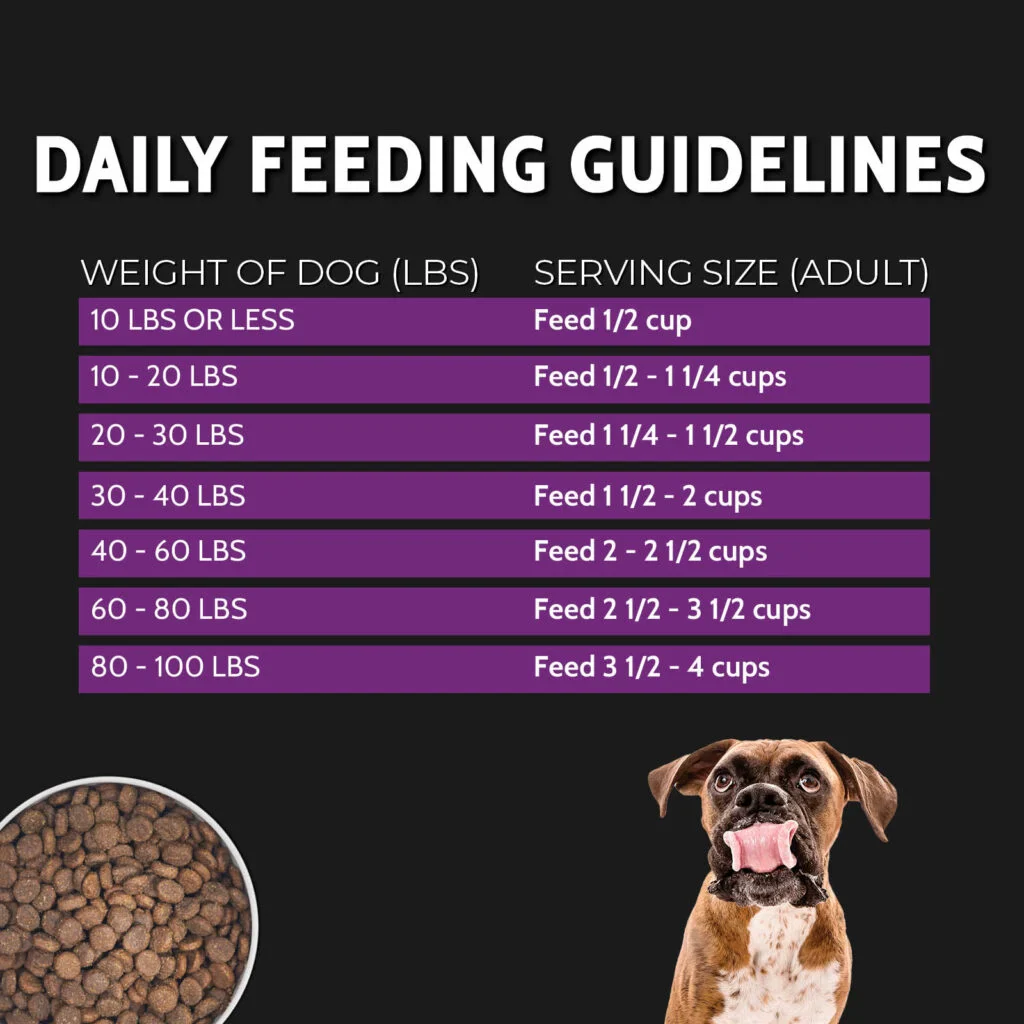 Zignature Select Cuts Kangaroo Formula with Super Grains Dry Dog Food - 25 lbs. - Image 6